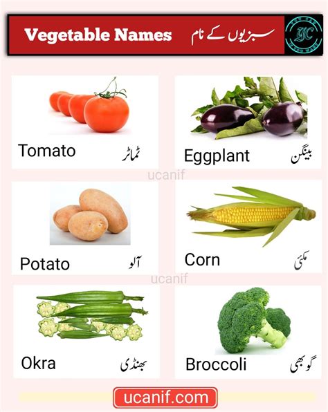 kale meaning in urdu|kale vegetable in urdu.